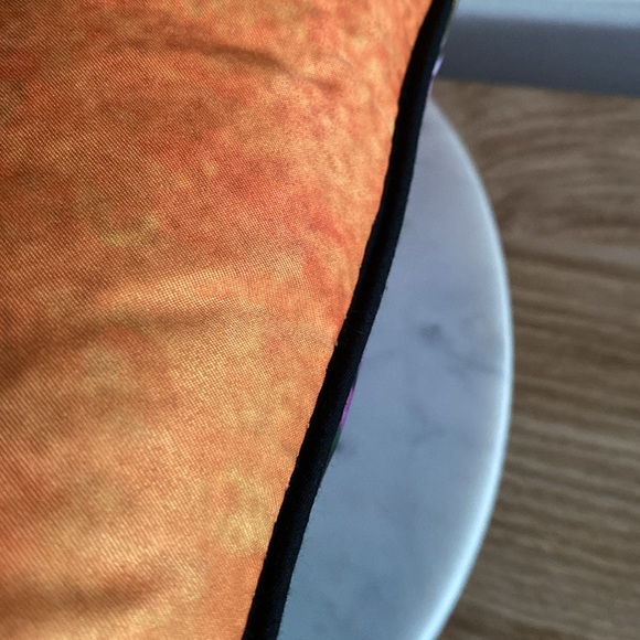 EUC FRIDA KAHLO Accent Decorative Zippered Pillow 🦋Includes Bonus Insert Pillow - Picture 8 of 15